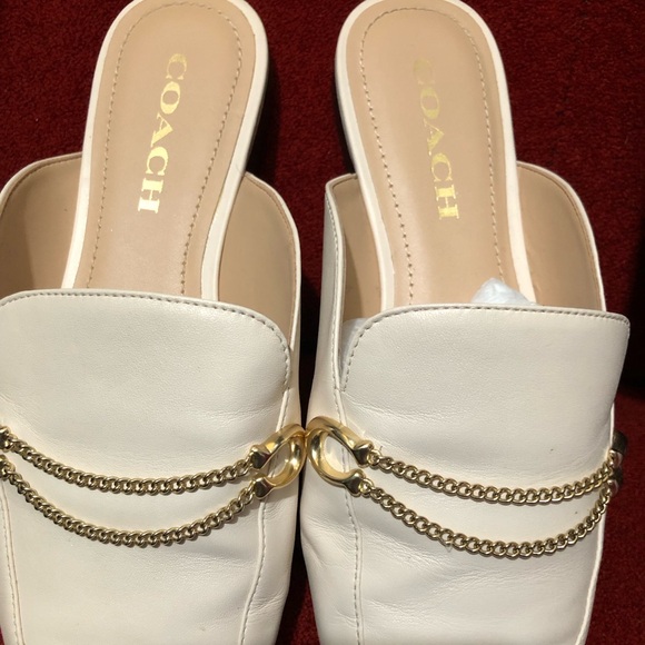 Coach slides - Picture 1 of 6